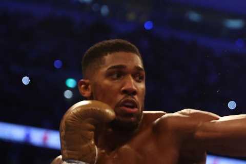 ‘Drag him into a fight’ – Anthony Joshua urged to deploy ‘seek and destroy mentality’ in Oleksandr Usyk rematch