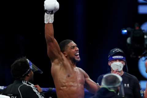 Anthony Joshua must face four opponents before he retires, including Tyson Fury, Deontay Wilder and Dillian Whyte