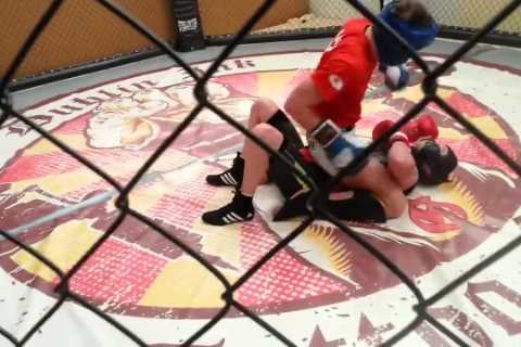 Watch UFC legend Conor McGregor destroy former featherweight boxing champ Patrick Hyland in the Octagon