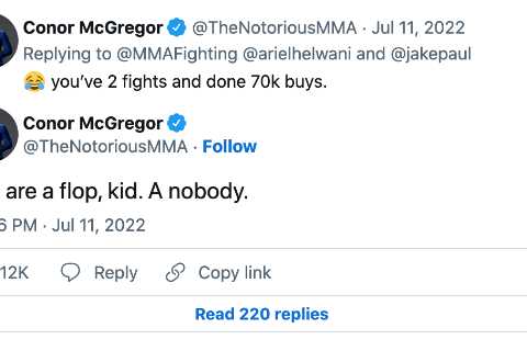 Jake Paul slams Conor McGregor for trying to ‘discredit’ him and claims UFC superstar is stalking him on social media
