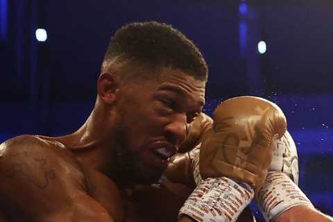 Oleksandr Usyk backed to KO Anthony Joshua in rematch after ‘giving him a boxing lesson’ in first fight