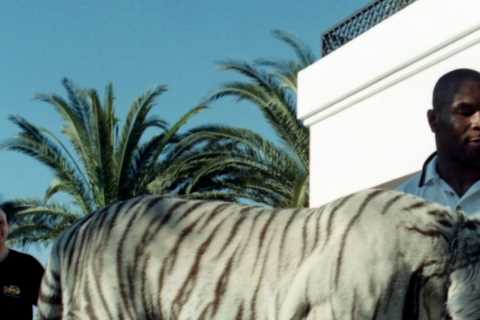 Mike Tyson’s pet tiger tried to eat his neighbours’ DOG which caused boxing legend to lose his famous white bengal