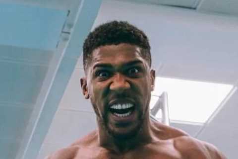 Anthony Joshua has been through 13 sparring partners for Oleksandr Usyk rematch as they all keep ‘hitting the canvas’