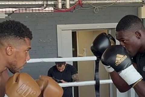 Anthony Joshua already sparring for Tyson Fury as Warren says biggest fight in British history is ’90 per cent agreed’