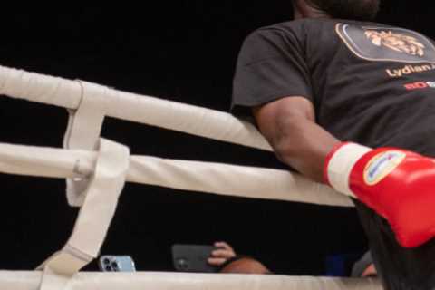 How Floyd Mayweather has raked in more than £110MILLION in three exhibition fights ahead of Mikuru Asakura bout