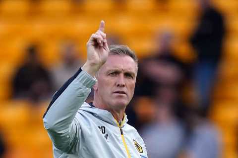 Wolves to STICK with caretaker Steve Davis until 2023 as ex-Watford boss Rob Edwards lined up for coaching role