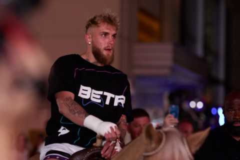 Jake Paul fears his performance against UFC legend Anderson Silva will scare off Conor McGregor from future fight