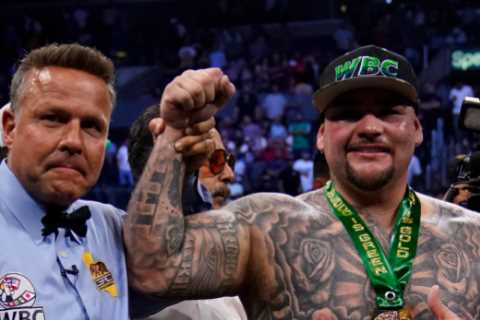 ‘I can take a punch’ – Andy Ruiz Jr not fazed by Deontay Wilder’s brutal power with American rivals ordered into fight