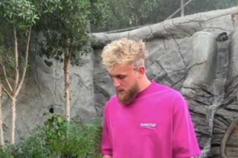 Jake Paul channels inner Mike Tyson by posing with TIGER on a lead as YouTuber’s fight against Tommy Fury edges closer