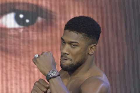 ‘No glamour in fighting a coward, I only fight real men’ – Tyson Fury’s brutal Anthony Joshua blast as he praises Wilder