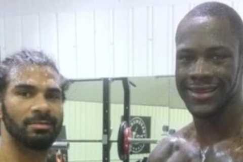 Deontay Wilder hailed as ‘hardest punching heavyweight ever’ by David Haye who opens up on brutal power in sparring