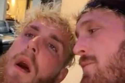 ‘I’m shivering with fear’ – Jake Paul reacts as KSI calls out bitter rival after knocking out YouTuber Faze Temperrr