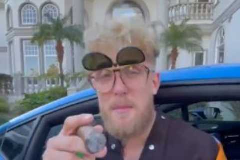 Jake Paul claims he has ‘matured’ since ‘reckless’ attack on UFC star Conor McGregor’s wife Dee Devlin