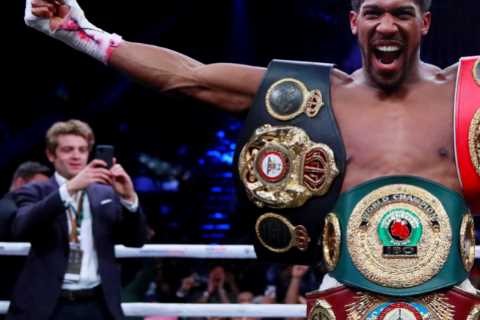 Anthony Joshua hints at retirement aged 33 after Oleksandr Usyk losses as Brit prepares for Jermaine Franklin fight