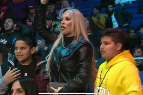 WWE superstar Dana Brooke cheers on boxer husband at ringside during London fight night