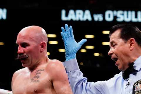 Why do referees wear gloves in boxing?