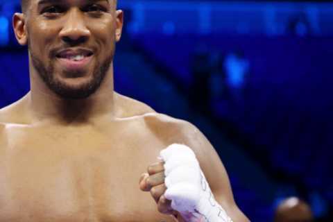 Joshua and Wilder’s lifestyles compared, with AJ flying in private jets and the Bronze Bomber owning a £430k Lamborghini