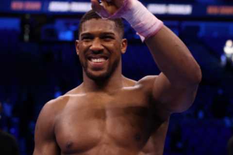 Tyson Fury hopes Anthony Joshua knocks out ‘little b****’ Deontay Wilder… but fears Brit rival will get ‘chinned’