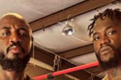 Deontay Wilder’s coach fears Anthony Joshua ‘may not make it to December’ and could scupper huge fight