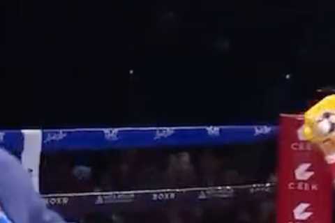 Conor McGregor leads fans reacting to insane brawl at Floyd Mayweather vs John Gotti III as over 30 people trade blows