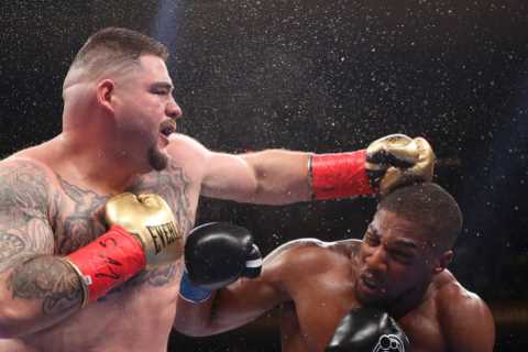Anthony Joshua warned ‘he CAN’T take a shot’ anymore by ex-champ as Dillian Whyte and Deontay Wilder fights near