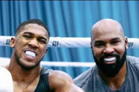 I’m a heavyweight who has shared ring with Anthony Joshua and Deontay Wilder, there is only one winner in that fight