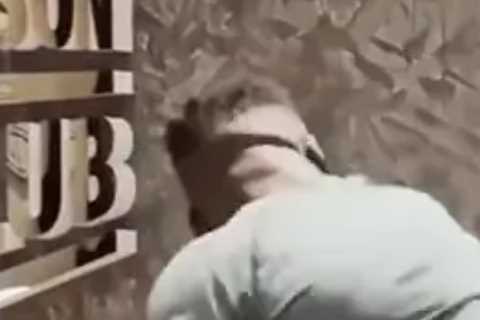 Heavyweight Showdown: Ngannou Outperforms Joshua and Fury on Punch Machine