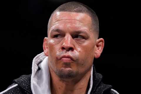 Nate Diaz Calls Out Boxing's Finest, Fans Remind Him of Jake Paul Loss