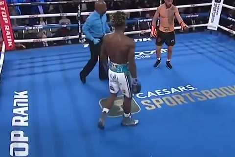 That time Lomachenko begged his opponent's corner to save their fighter – and they just... ignored him