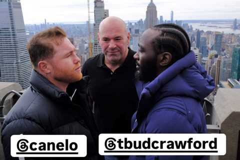 Dana White Just Threw Everyone a Curveball on the Canelo-Crawford Mess